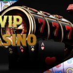 vip casino game
