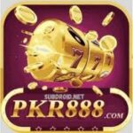 PKR 888 GAME